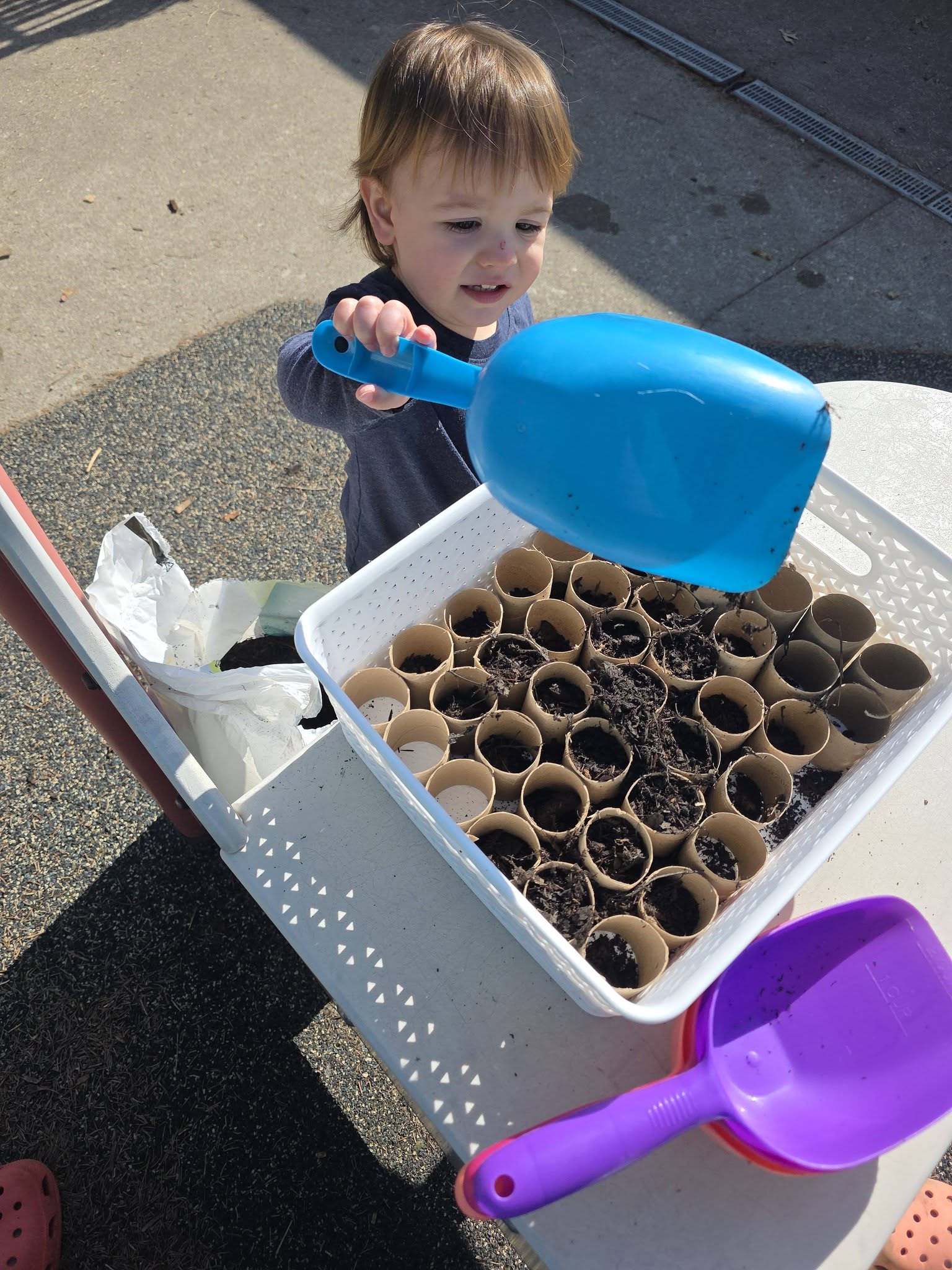 Toddler planting seeds during an outdoor garden project