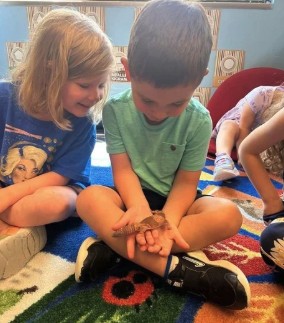 Preschoolers exploring a small animal during science discovery