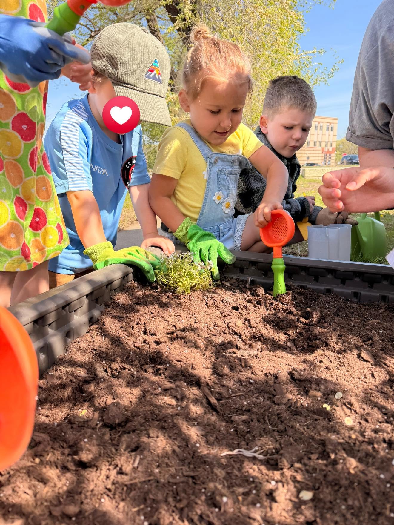 Children planting seeds in the garden beds outside