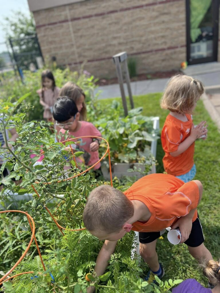 Children tending the vegetable garden at their Creative Kids Academy center